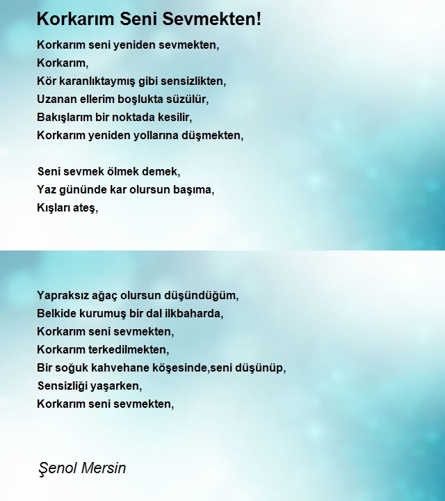 Şenol Mersin