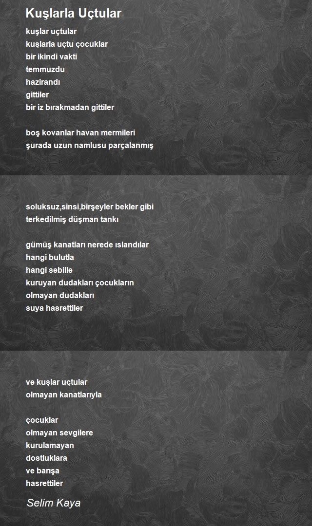 Selim Kaya