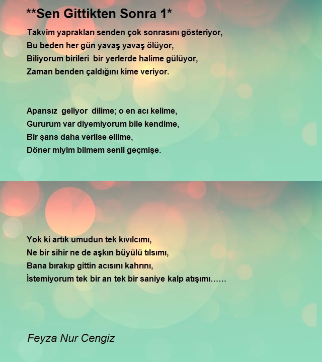 Feyza Nur Cengiz