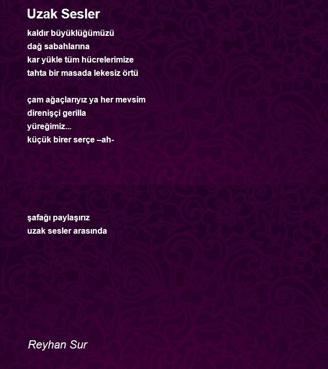 Reyhan Sur