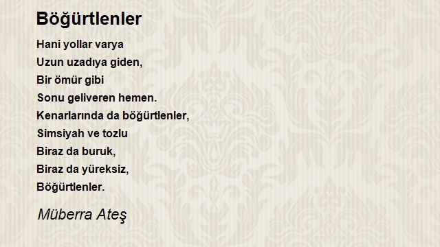 Müberra Ateş