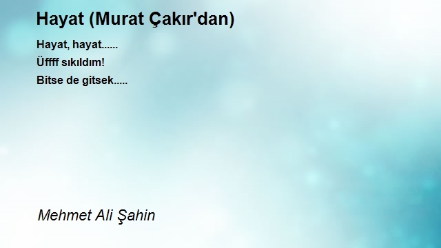 Mehmet Ali Şahin