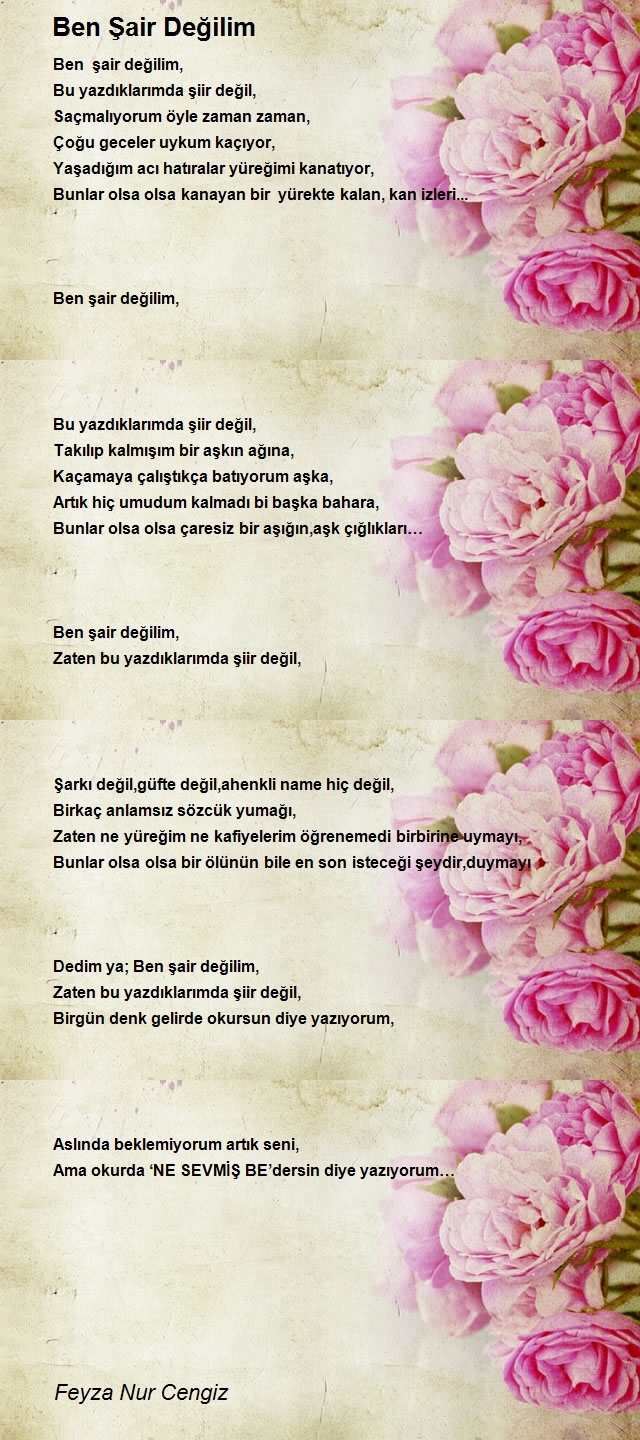 Feyza Nur Cengiz