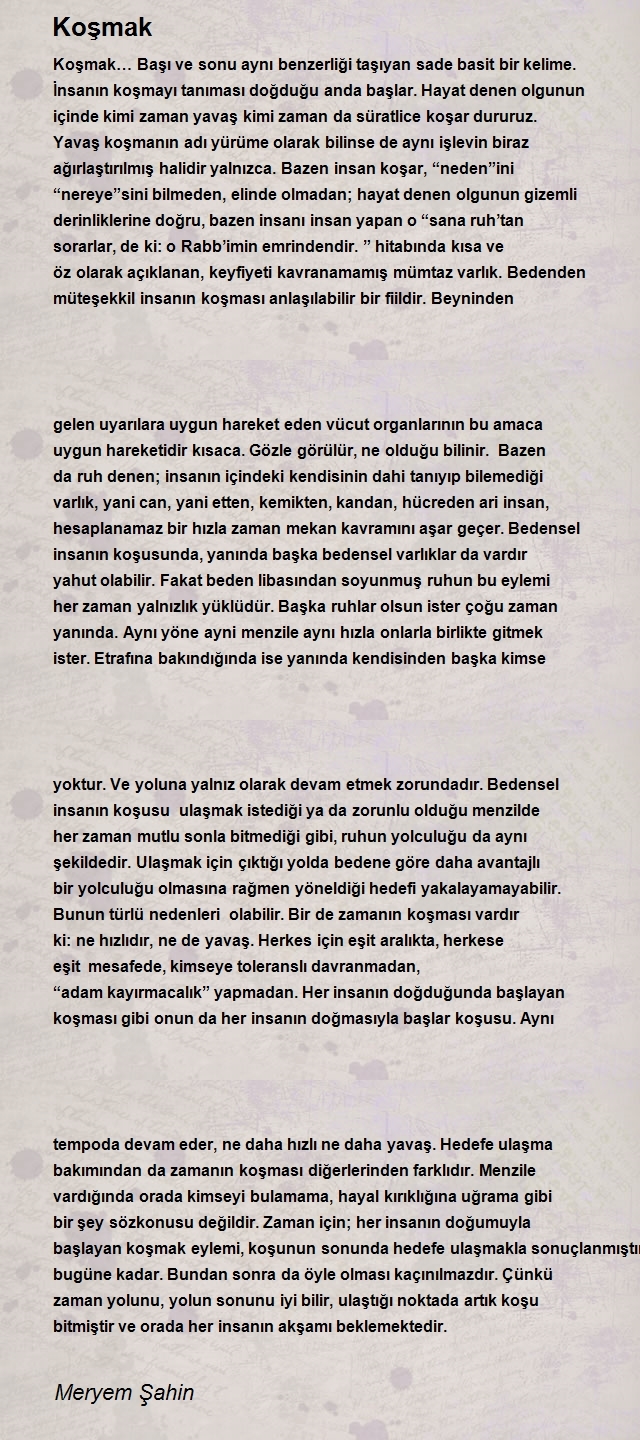 Meryem Şahin