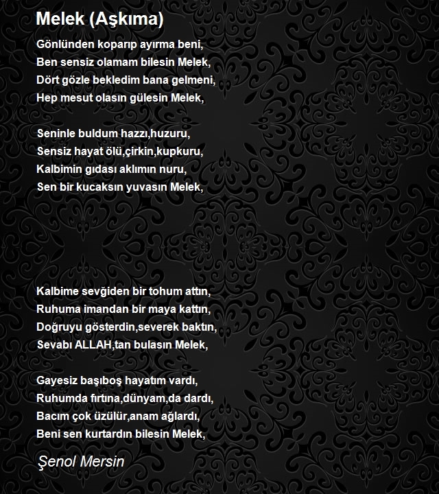 Şenol Mersin
