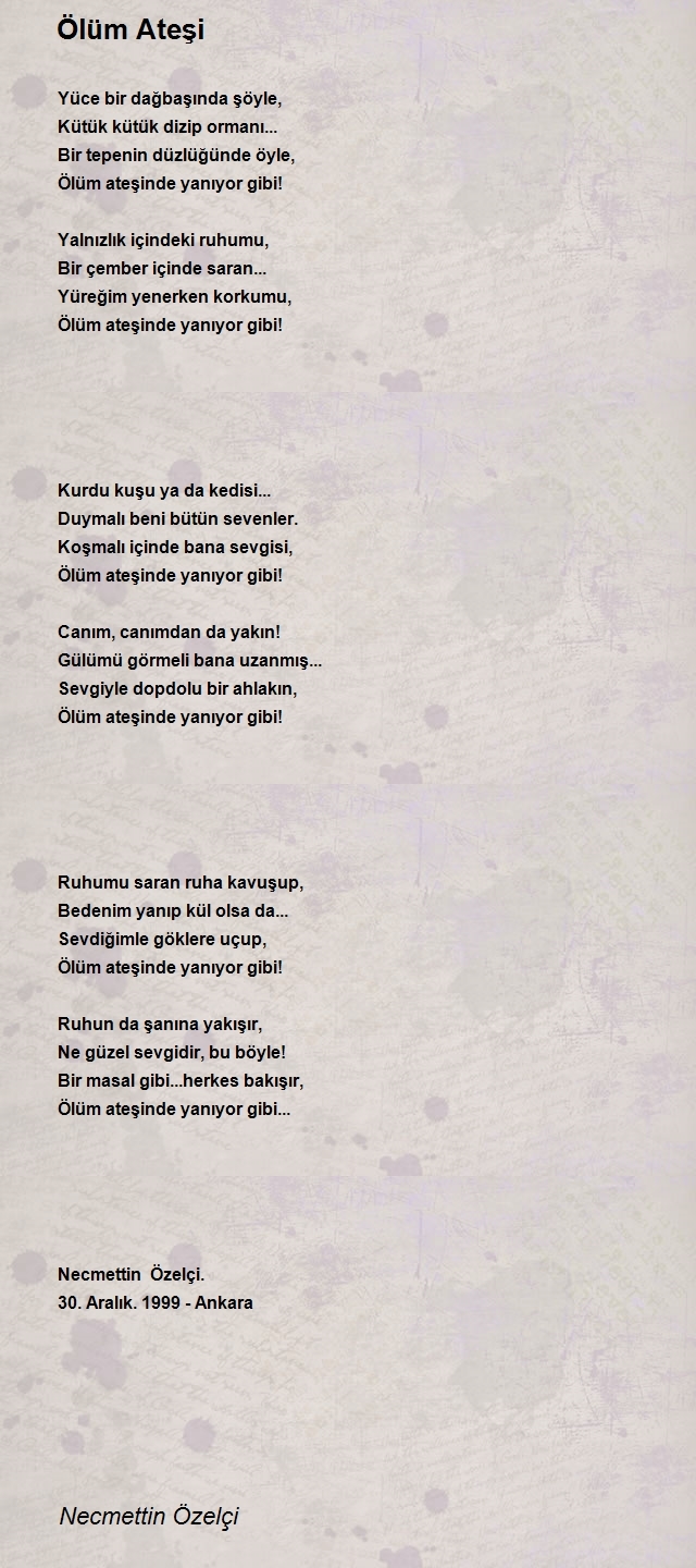 Necmettin Özelçi