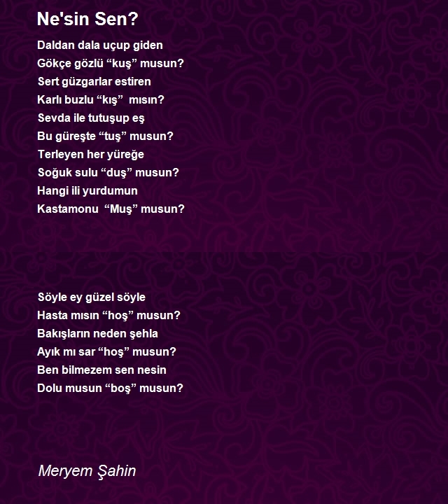 Meryem Şahin