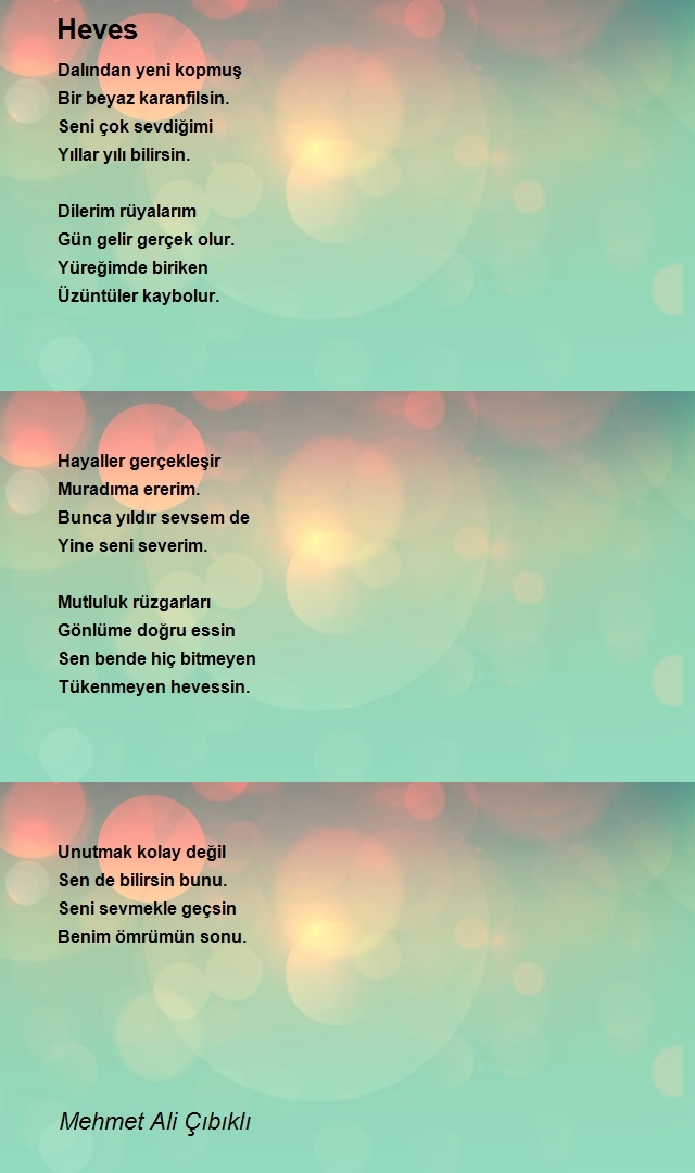 Mehmet Ali Çıbıklı
