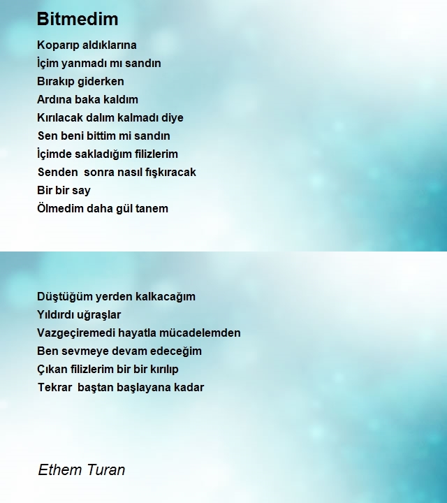Ethem Turan