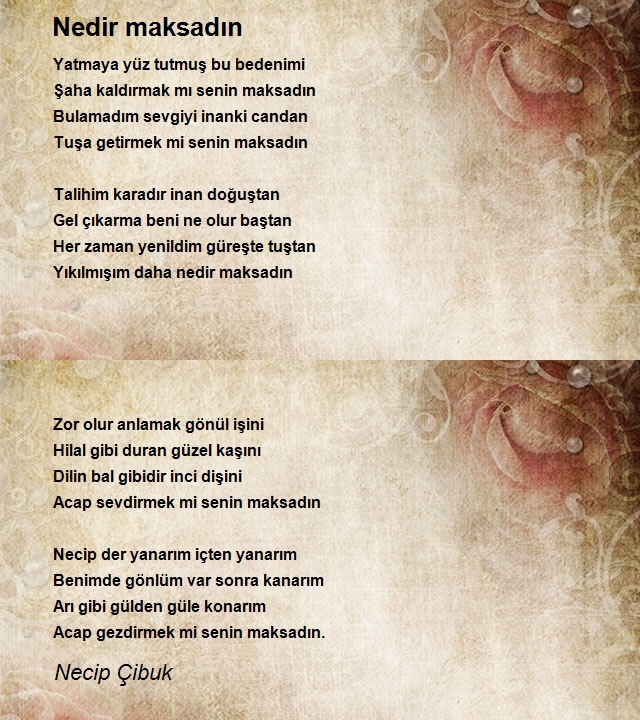 Necip Çibuk