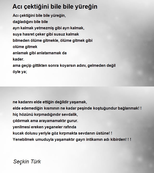 Seçkin Türk