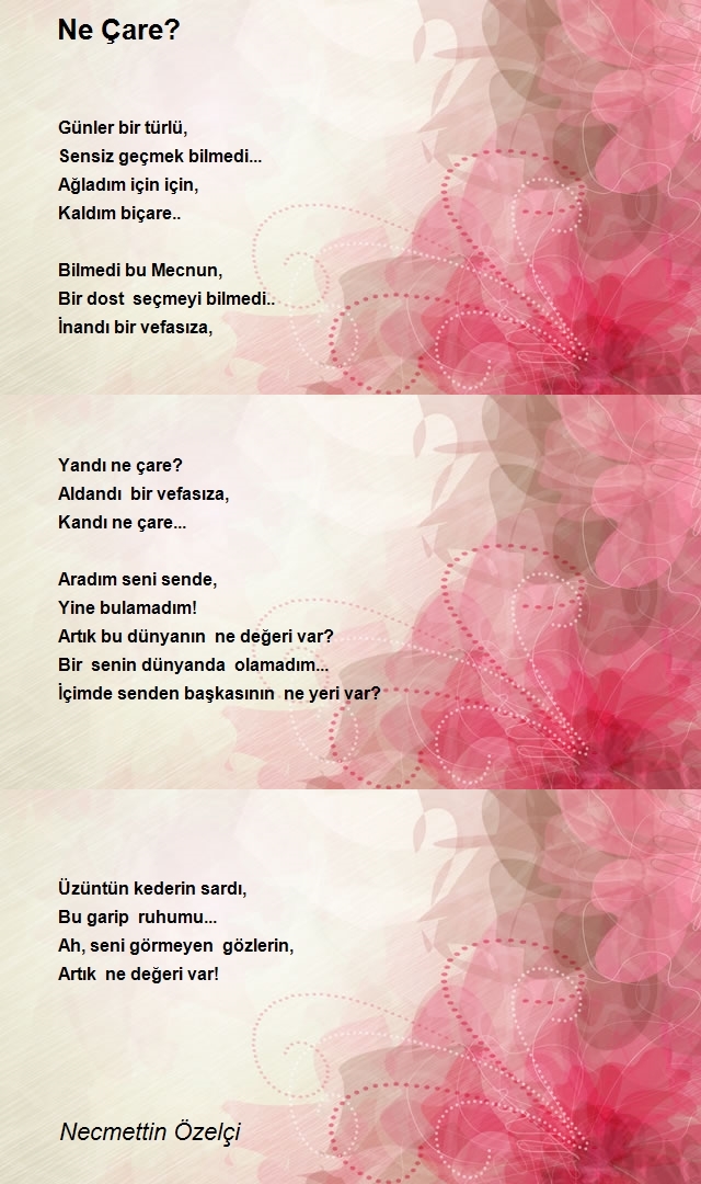 Necmettin Özelçi