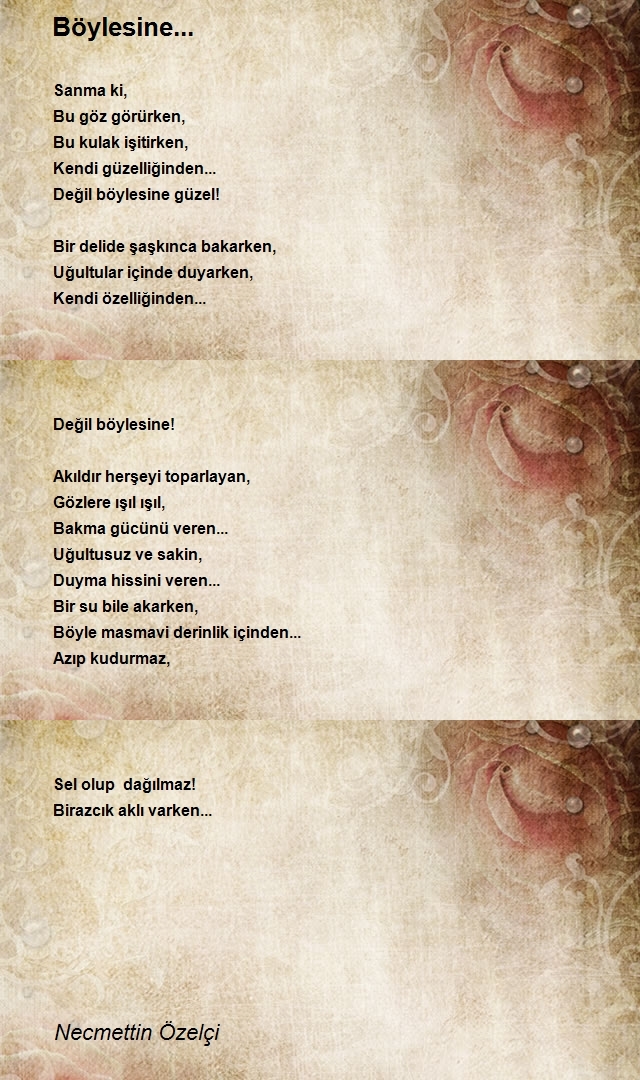 Necmettin Özelçi