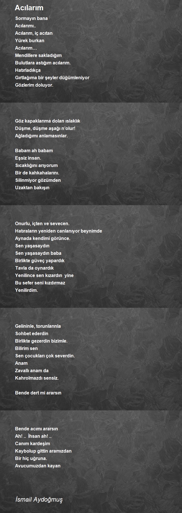 İsmail Aydoğmuş