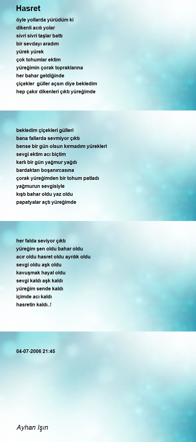 Ayhan Işın