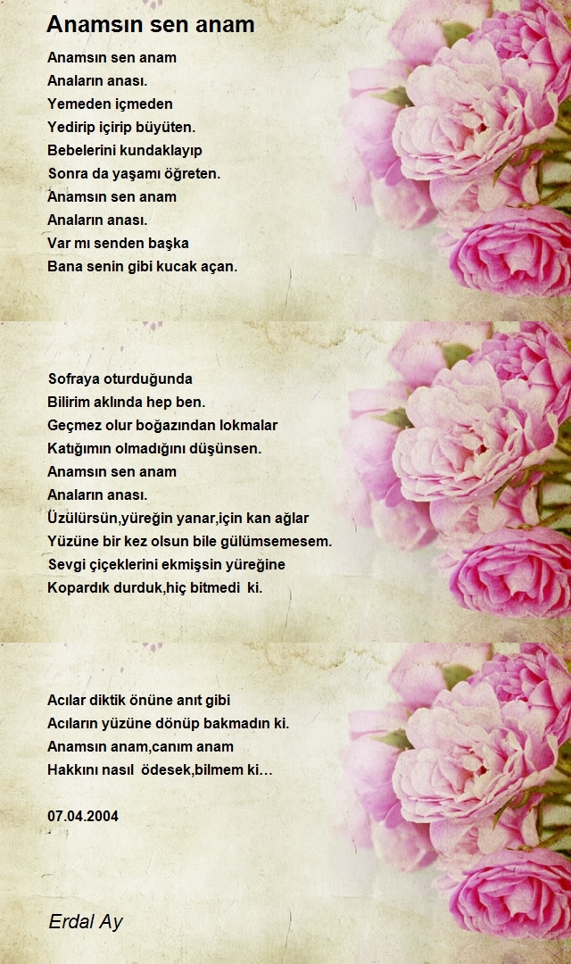 Erdal Ay