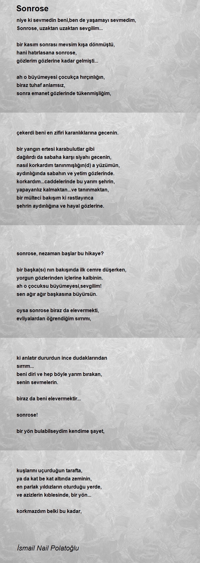 İsmail Nail Polatoğlu
