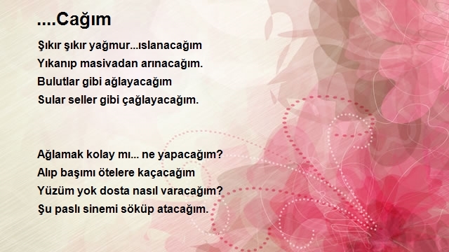 Meryem Şahin