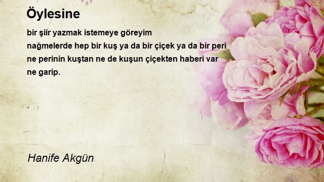 Hanife Akgün