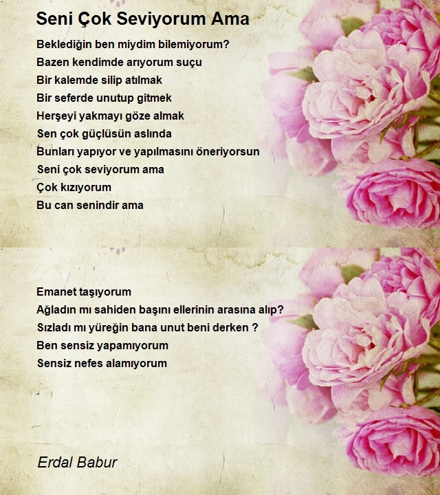 Erdal Babur