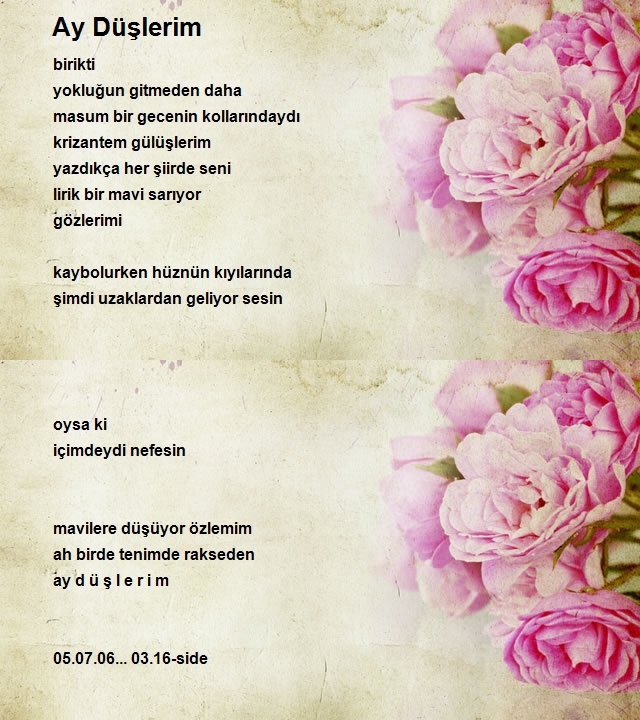 Birsen Ateş