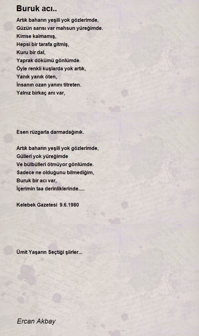 Ercan Akbay
