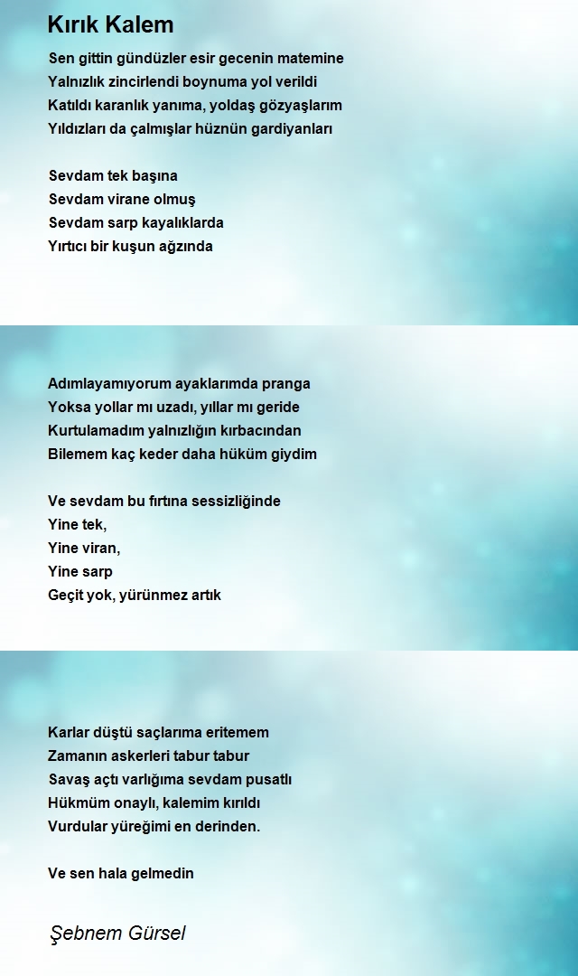Şebnem Gürsel