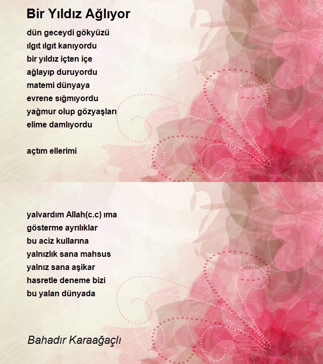 Bahadır Karaağaçlı