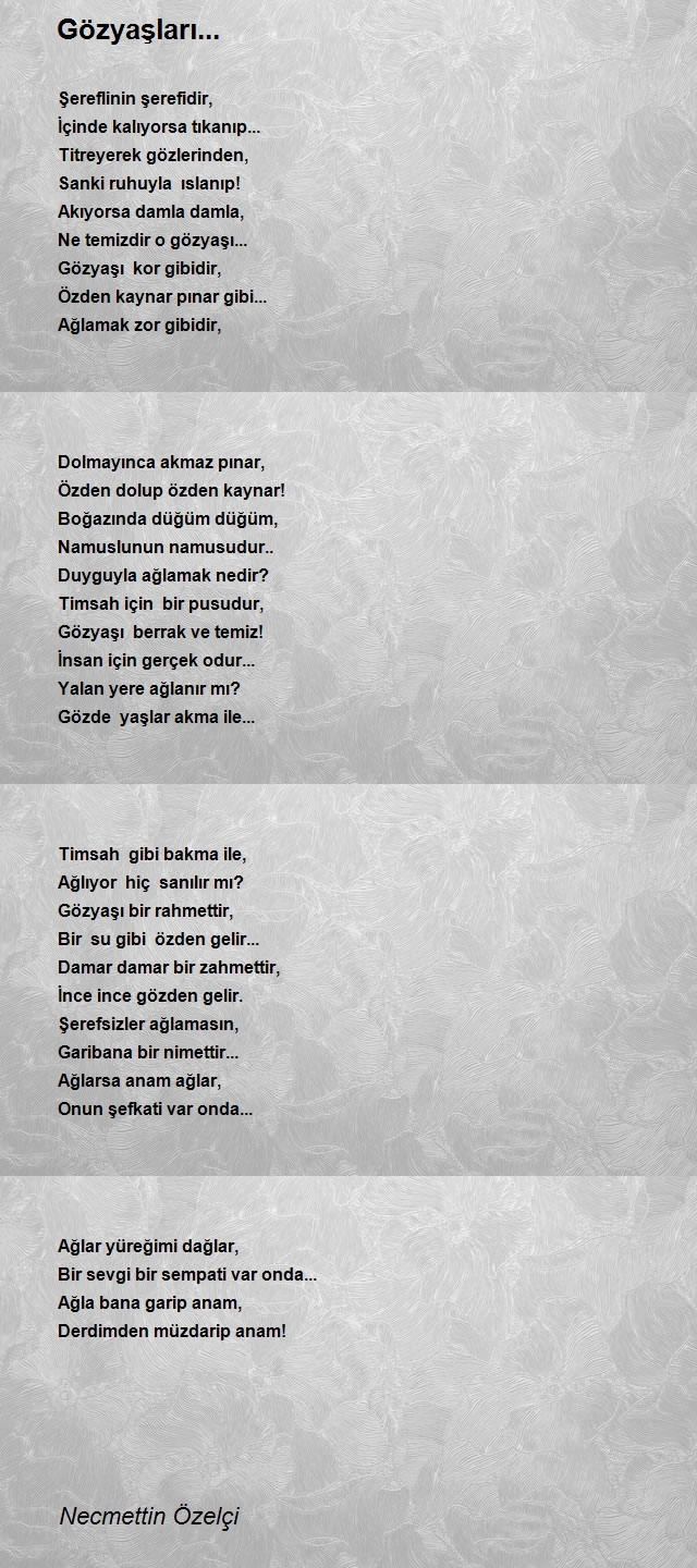 Necmettin Özelçi
