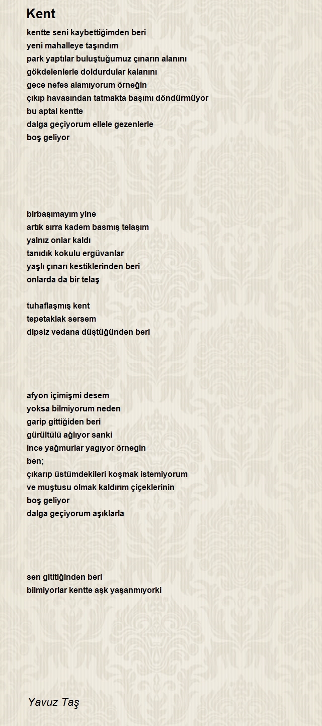 Yavuz Taş