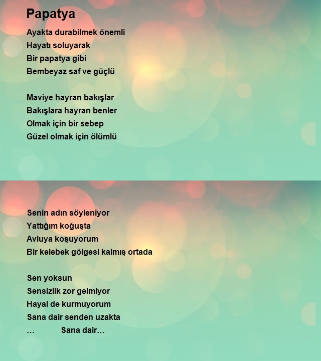 Musa Mengüllüoğlu