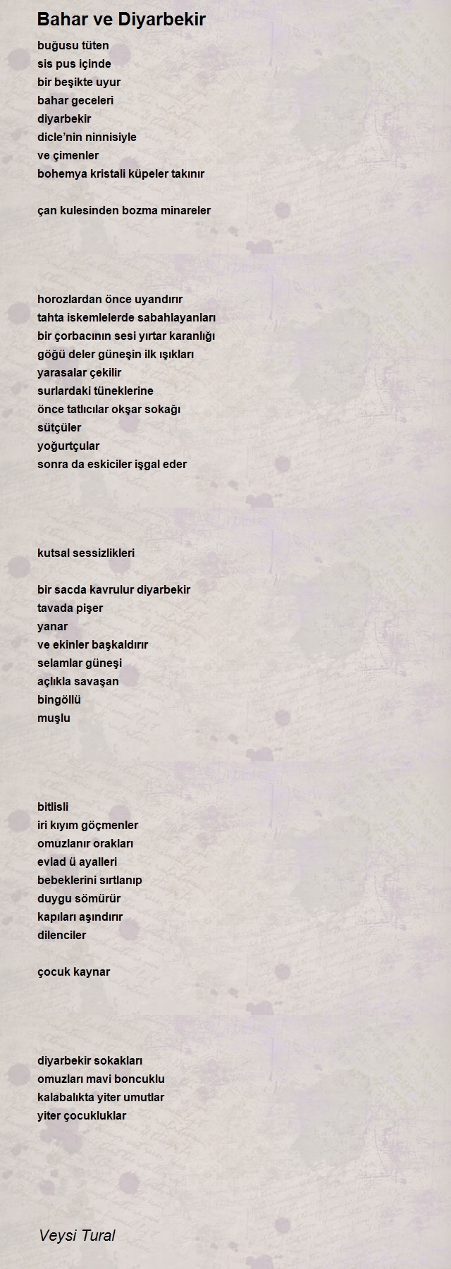 Veysi Tural