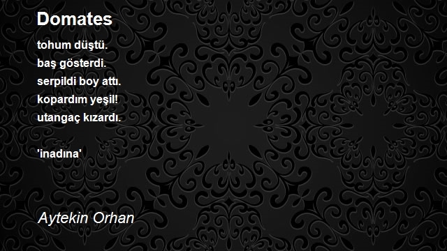Aytekin Orhan