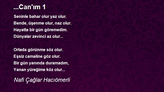 Nafi Çağlar Hacıömerli