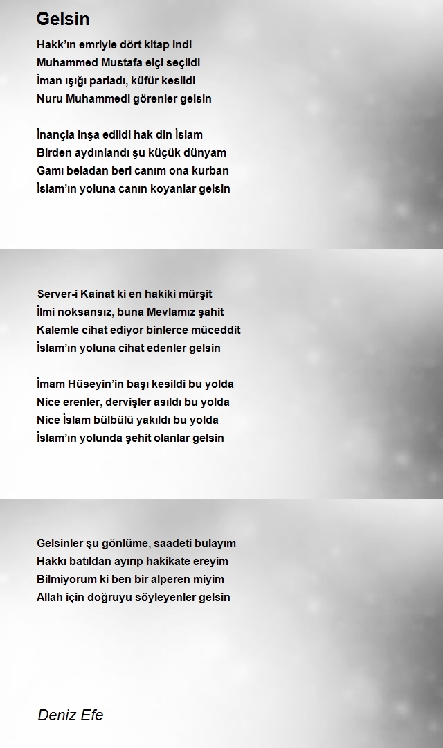 Deniz Efe