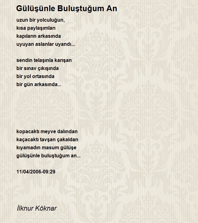 İlknur Köknar