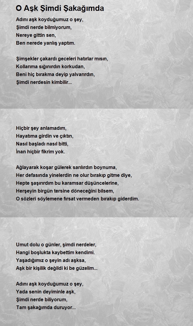 Hasan Can