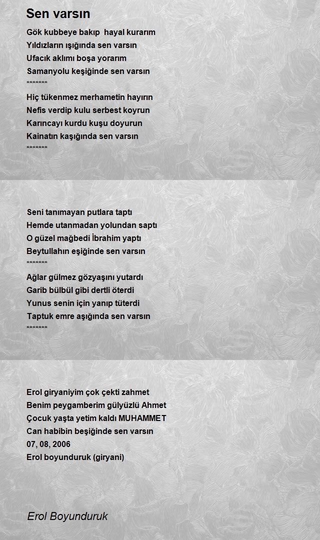 Erol Boyunduruk