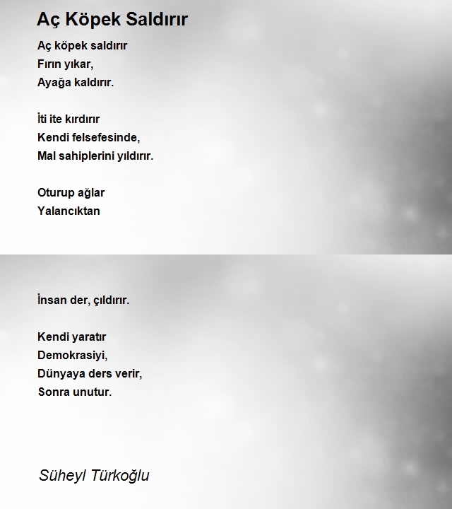 Süheyl Türkoğlu