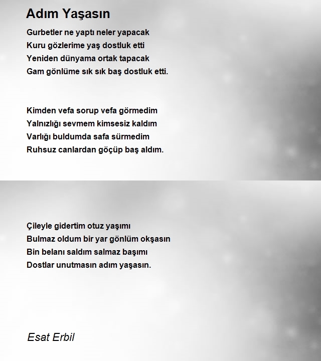 Esat Erbil