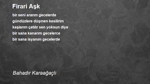 Bahadır Karaağaçlı
