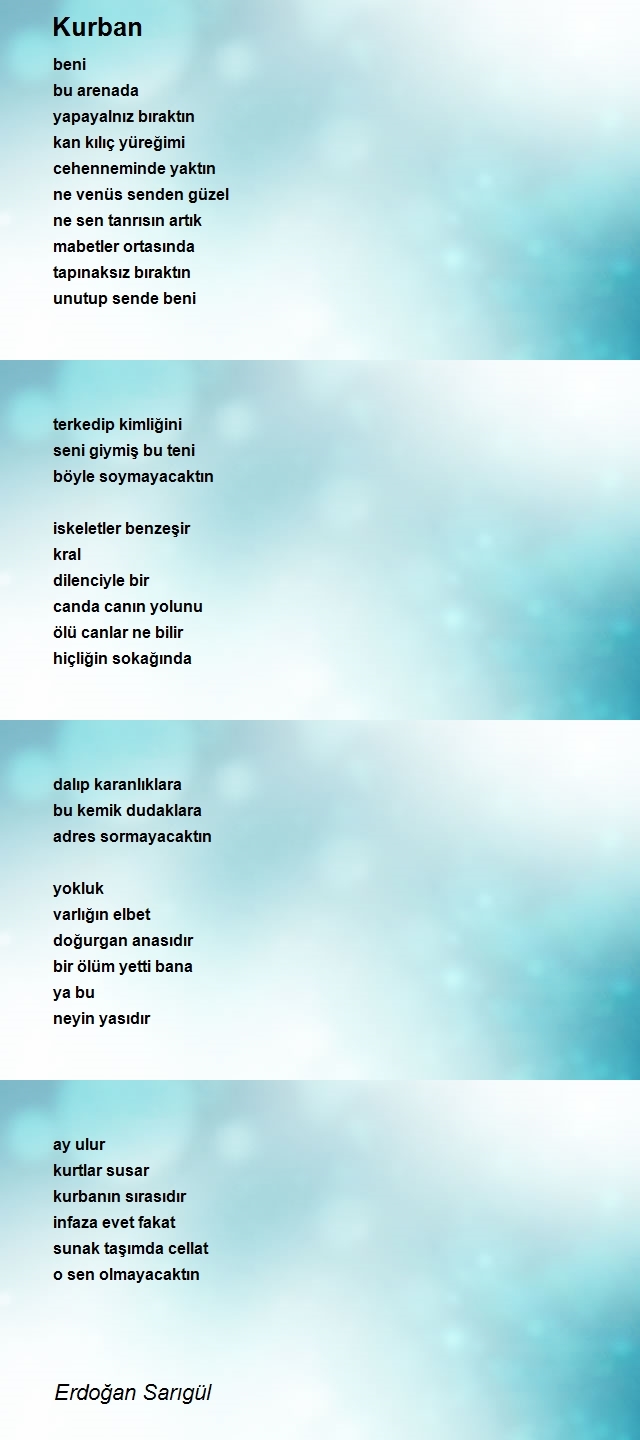 Erdoğan Sarıgül