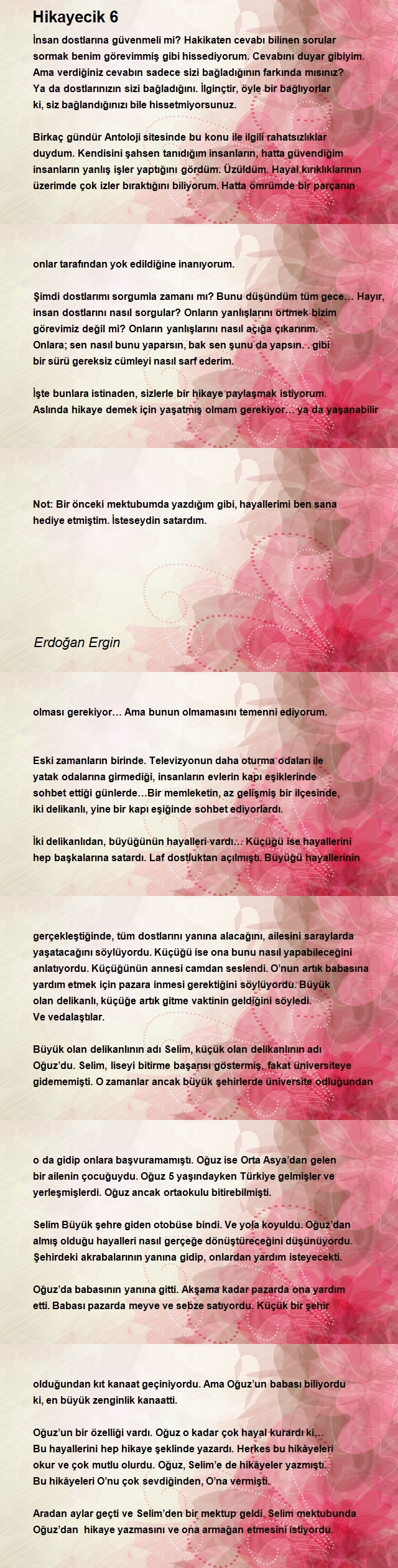 Erdoğan Ergin
