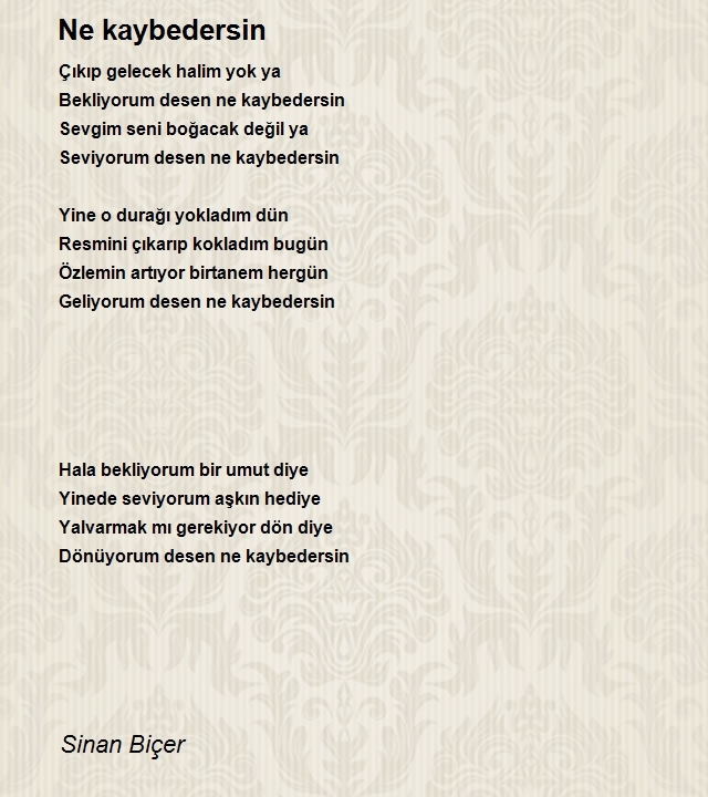Sinan Biçer