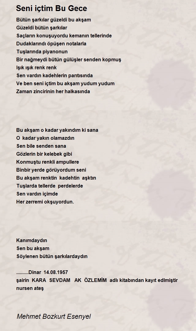 Mehmet Bozkurt Esenyel
