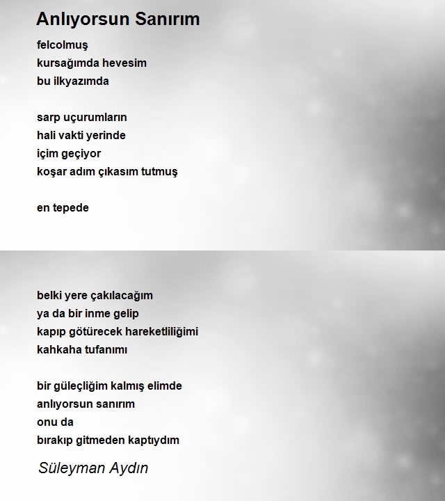 Süleyman Aydın