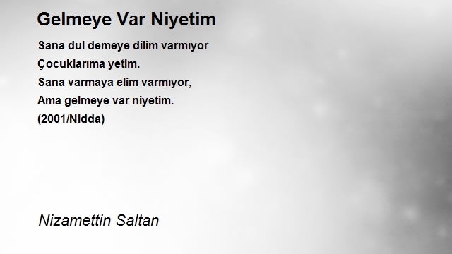 Nizamettin Saltan