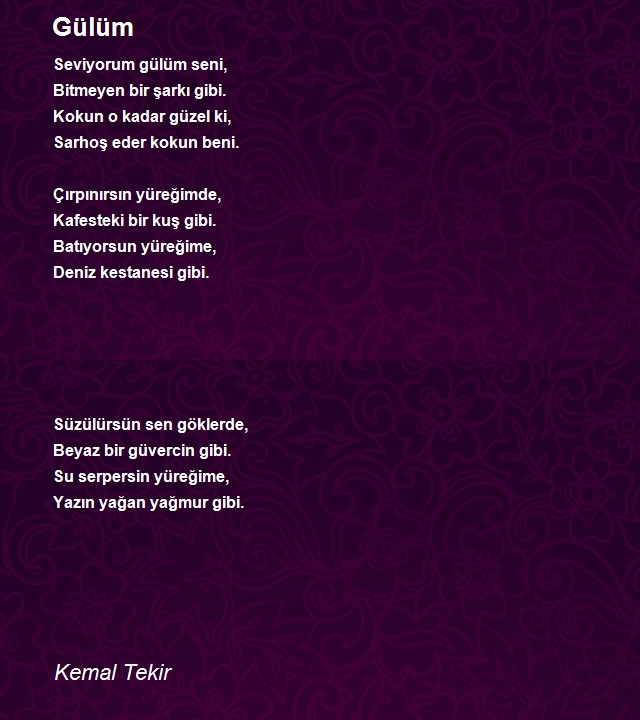 Kemal Tekir