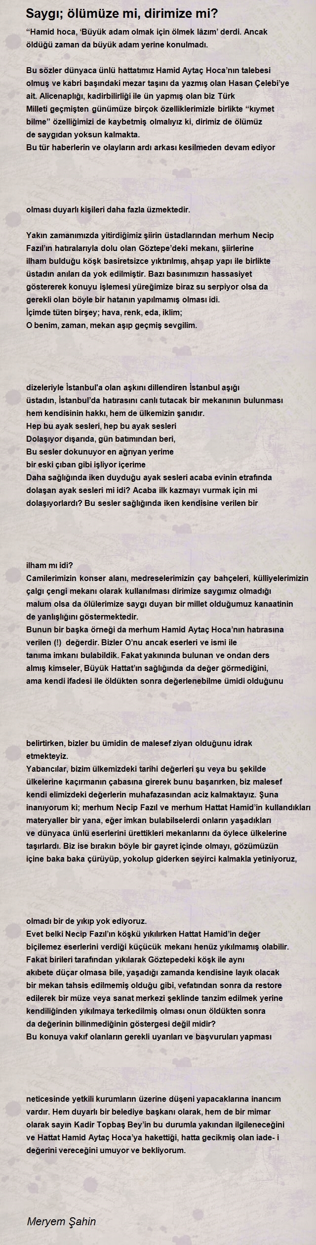 Meryem Şahin