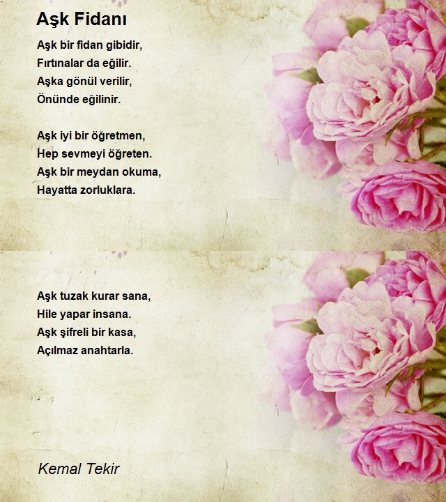 Kemal Tekir